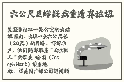 四川揉BBB搡BBB